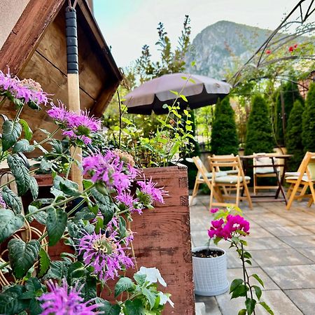 Comfort Luxury Apartments Vratsa エクステリア 写真
